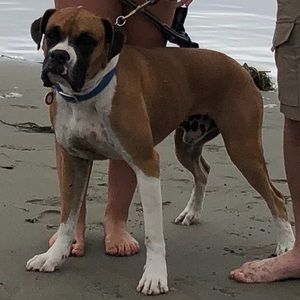 Meet your Posher, Alaina